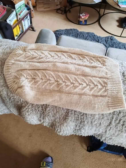 Photo of free Medium Dog Jumpers and a Coat (BS24) #3