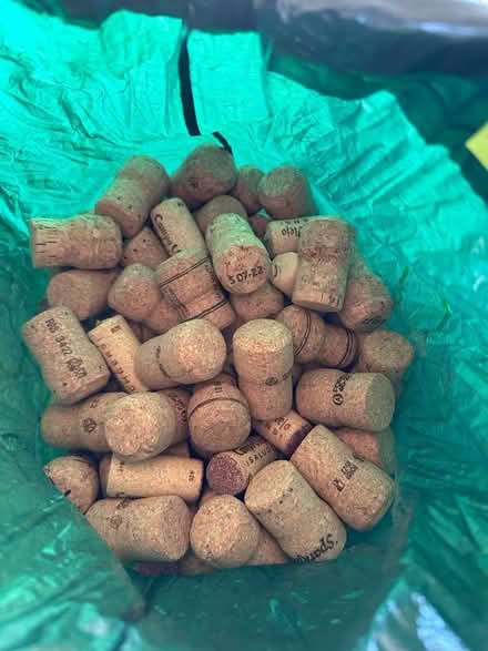 Photo of free Bottle corks (Shaldon) #1