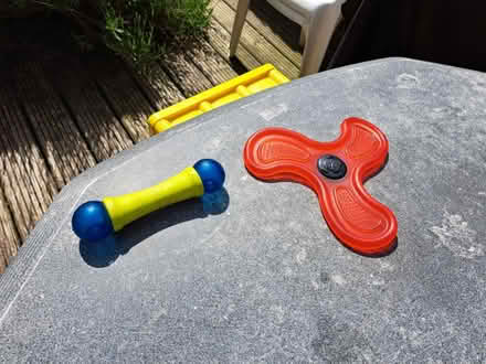 Photo of free 2 soft plastic or rubber dog toys (AL1) #1