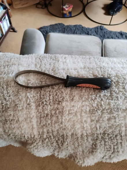 Photo of free Various Doggy Things (BS24) #3