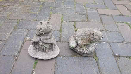 Photo of free Garden Gnome Frogs (CT21) #2