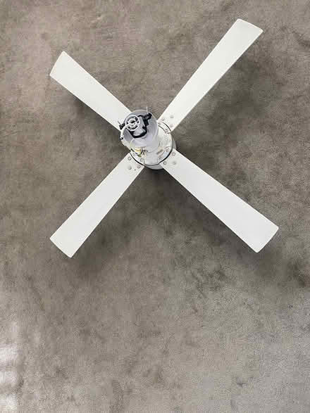 Photo of free Ceiling fan (Pagewood) #4