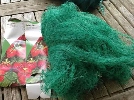 Photo of free Fine mesh for protecting plants (Maidenhead SL6) #1