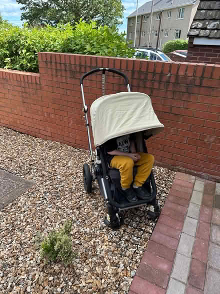 Photo of free Bugaboo cameleon pushchair pram (EX1) #3