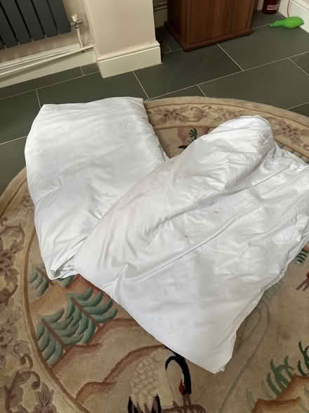 Photo of free 2 single duvets - clean (Hampton TW12) #1