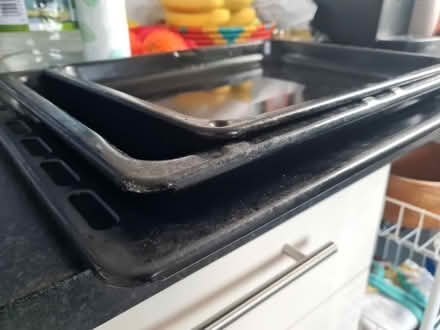 Photo of free Oven trays (South Norwood SE25) #2