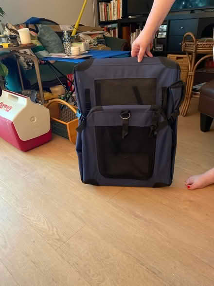 Photo of free Large cat/ small dog carrier (Lincoln) #1