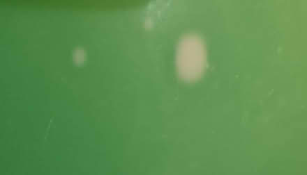 Photo of free Vintage Tupperware Crisp It lettuce (Kurralta Park) #3