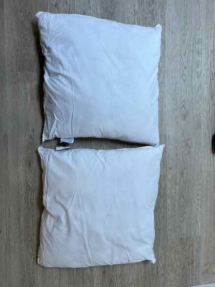 Photo of free Pair of 60cm John Lewis cushion pads (Barnes SW13) #2