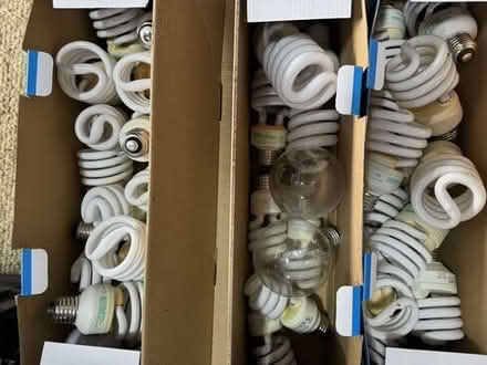 Photo of free lightbulbs #1