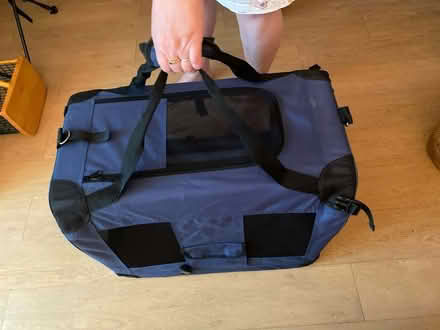 Photo of free Large cat/ small dog carrier (Lincoln) #2