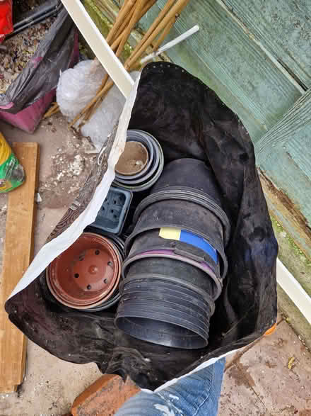 Photo of free Plant pots and seed trays (BL3 Daubhill) #3