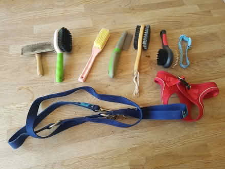 Photo of free Dog bits (Steeple Aston OX25) #1