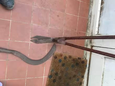 Photo of free Lawn edging shears (Biddenham) #1