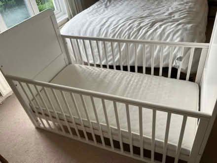 Photo of free Cot bed (Speldhurst TN3) #2