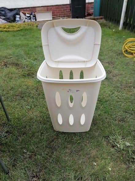 Photo of free Plastic laundry basket (Coatbridge) #2