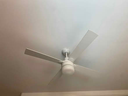 Photo of free Ceiling fan (Pagewood) #1