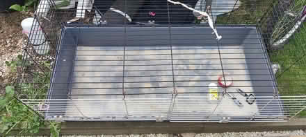 Photo of free Guinea pig cage and accessories (London Colney) #1