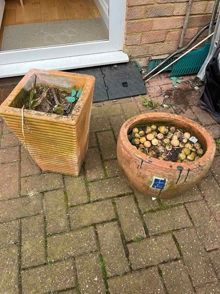 Photo of free Terracotta plant pots (BR6) #1