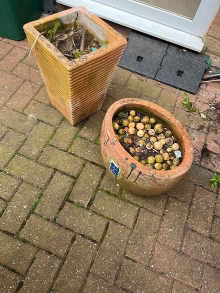 Photo of free Terracotta plant pots (BR6) #2