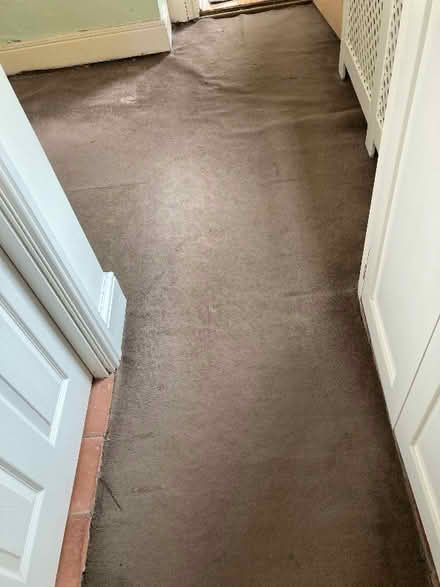 Photo of free Brown carpet 2.5 m x 2.5m (Cotteridge B30) #2
