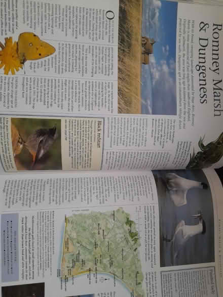Photo of free Book of Britain's countryside (Allenton) #4
