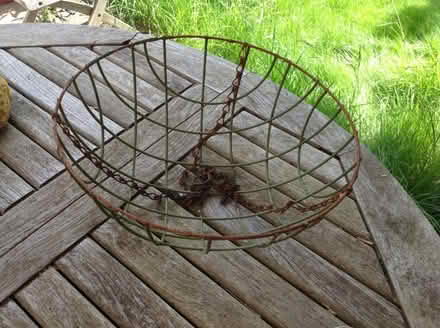 Photo of free Hanging basket (Maidenhead SL6) #1