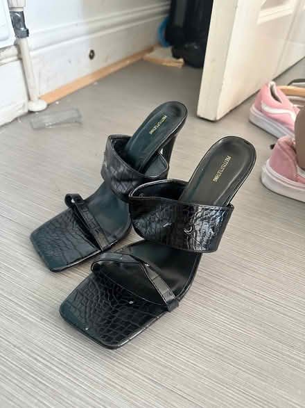 Photo of free Black (HA0) #1
