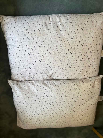 Photo of free Laura Ashley Pillows (Pleasant Hill) #1