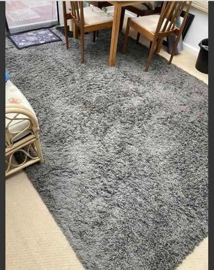 Photo of free Large deep pile dark grey rug (Chichester central PO19) #1