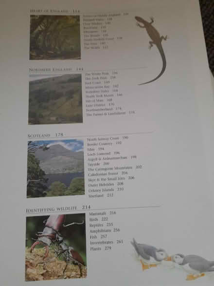 Photo of free Book of Britain's countryside (Allenton) #3