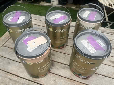 Photo of free paint - walls & ceilings (DA12) #1