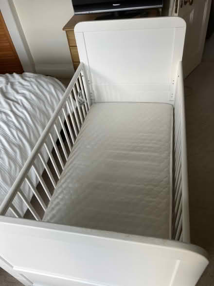 Photo of free Cot bed (Speldhurst TN3) #3
