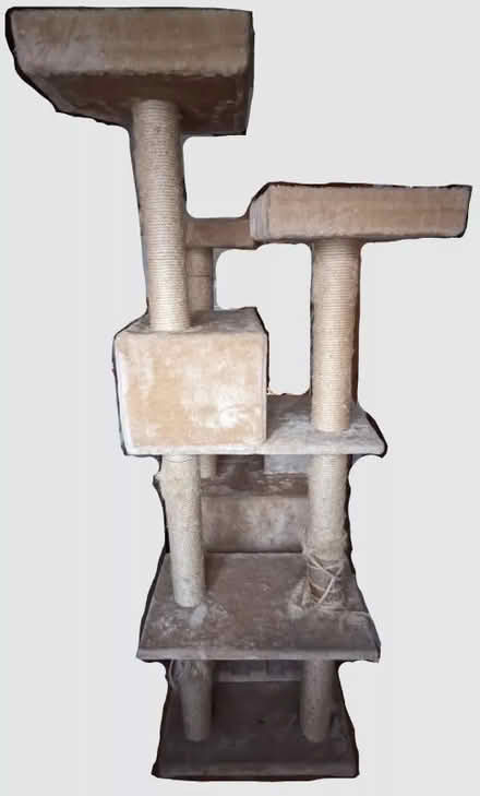 Photo of free 180x85x85cm Zooplus Rapunzel cat tree/play area (Wokingham RG41) #3