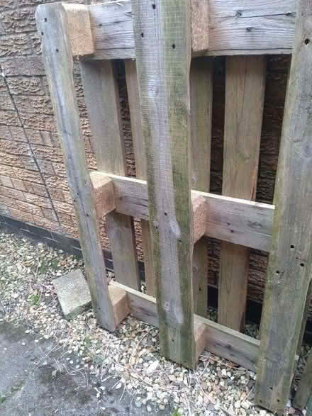 Photo of free Pallet and wooden trellis (Rushden town centre NN10) #1