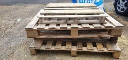 Photo of free 4 x pallets in Shinfield (Woosehill RG41) #1