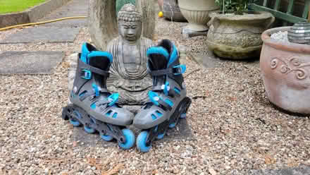 Photo of free In line skates. (Hood Manor WA5) #1