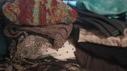 Photo of free Women's clothing (75237) #2