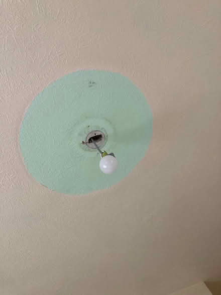 Photo of free Ceiling Rose (Lymm WA13) #2