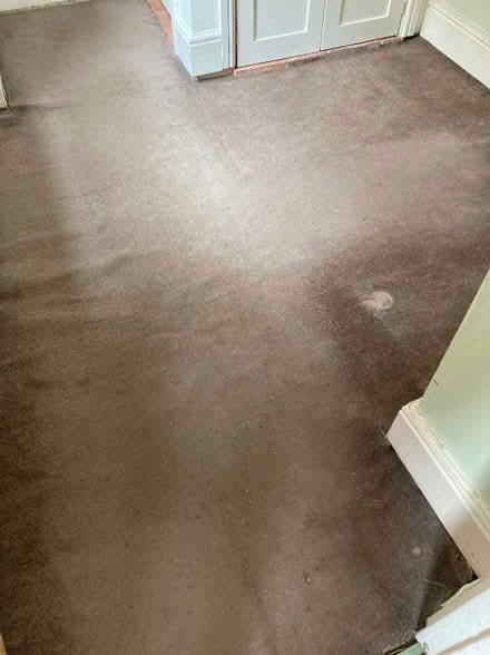 Photo of free Brown carpet 2.5 m x 2.5m (Cotteridge B30) #1