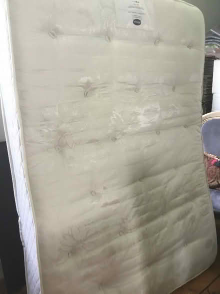 Photo of free Standard Size Double Silent Night mattress (St Leonards TN38) #2