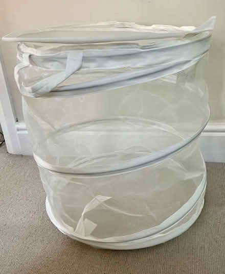 Photo of free IKEA collapsible washing basket (Stoughton) #1