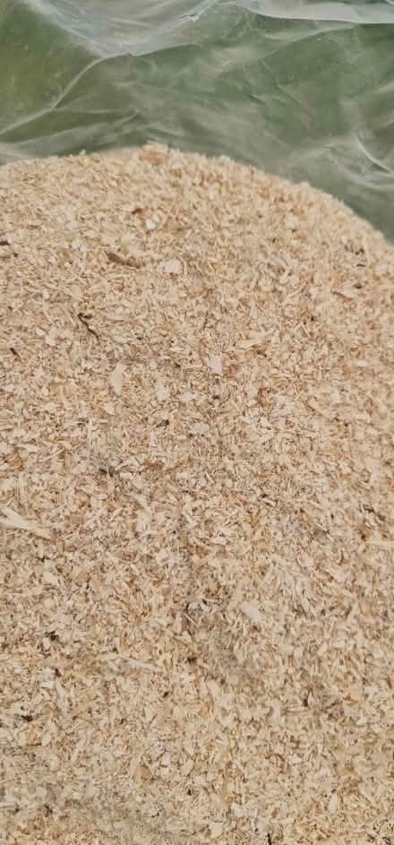 Photo of free Fine Sawdust (Preston PR5) #2