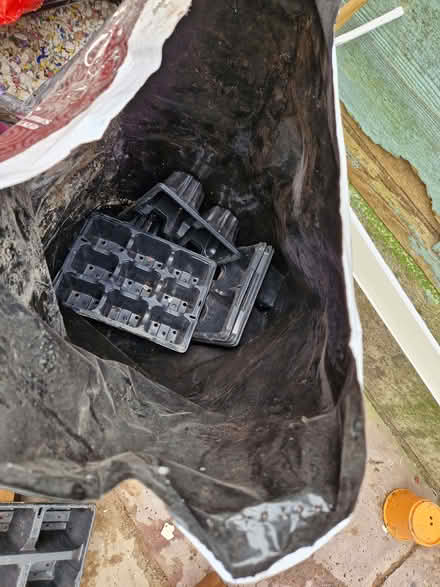 Photo of free Plant pots and seed trays (BL3 Daubhill) #2