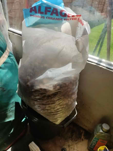 Photo of free Alfagrog filter media (Bourne) #2