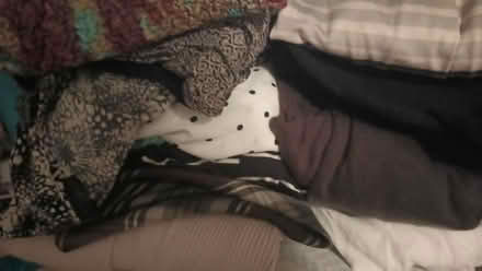 Photo of free Women's clothing (75237) #1