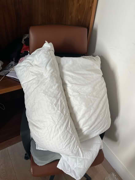 Photo of free Two feather down pillows (Bayswater, W2) #1