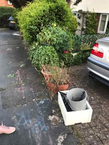 Photo of free Flower pots (Selsdon) #1