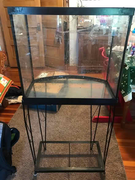 Photo of free Aquarium and supplies (North Cambridge) #1