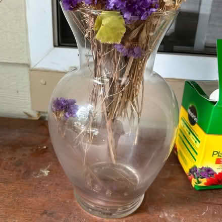 Photo of free Vase (Morristown, New Jersey) #1